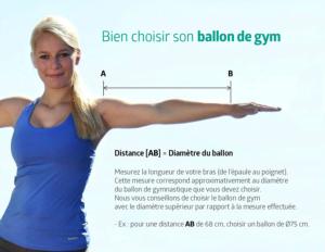 BALLON  GYMNASTIQUE SECUREMAX LILAS 